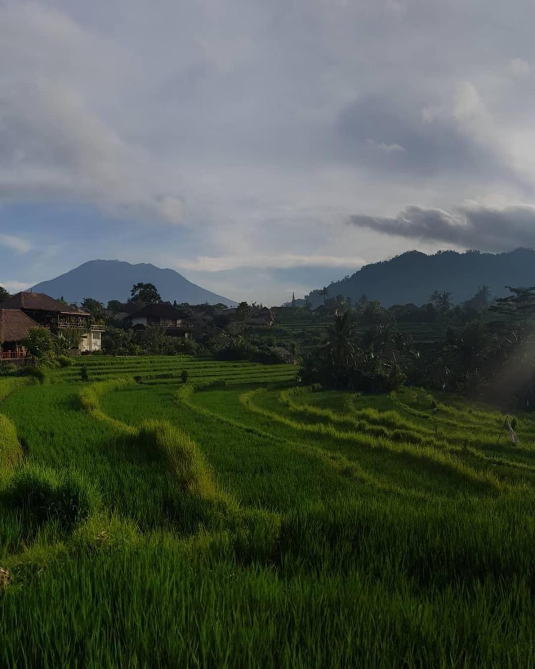 D'Janu Homestay Sidemen  Dış mekan fotoğraf