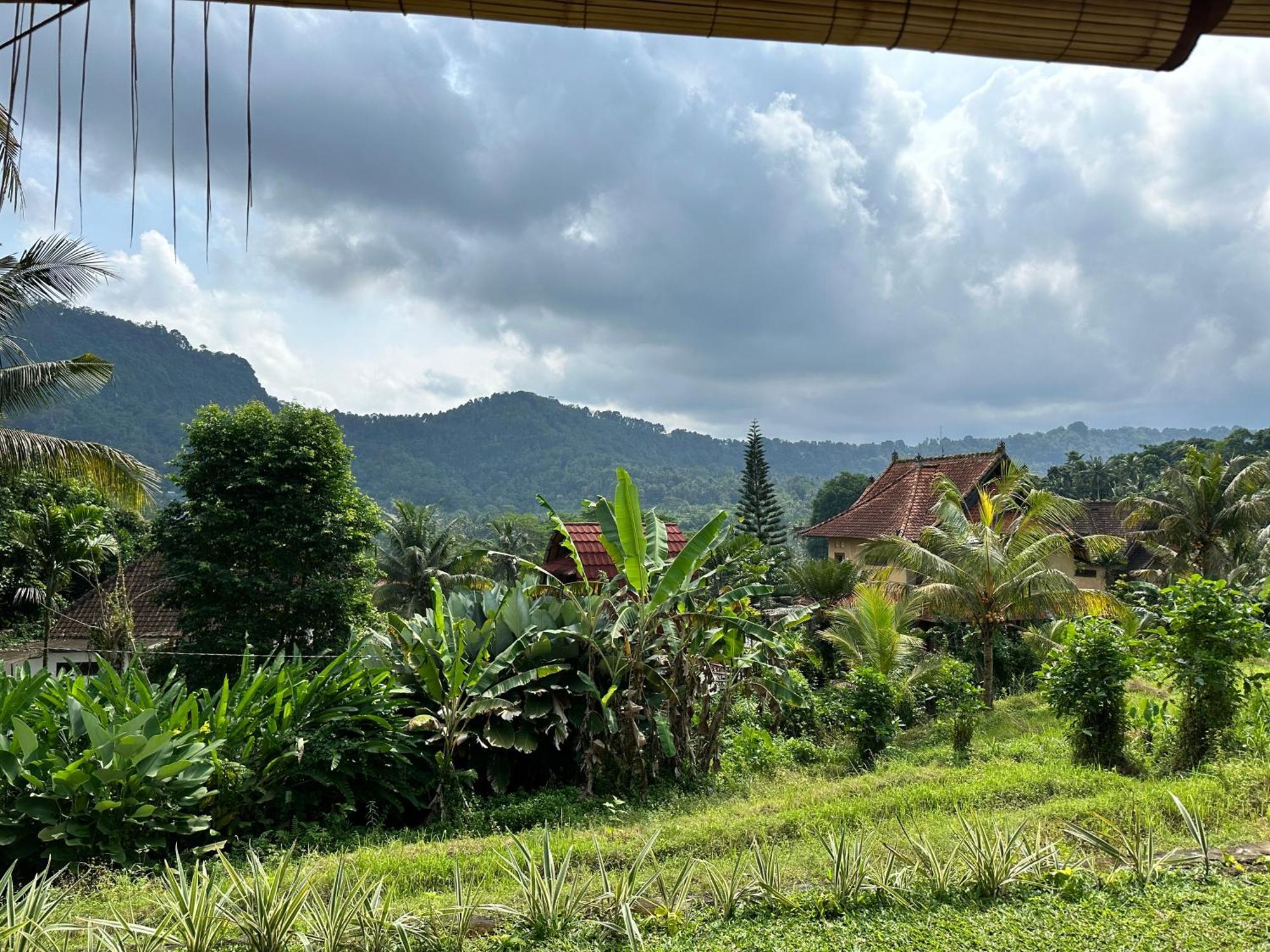 D'Janu Homestay Sidemen  Dış mekan fotoğraf